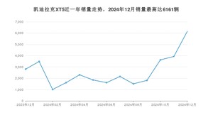 2024年12月凯迪拉克XT5销量数据发布 共卖了6161台