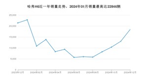 2024年12月哈弗H6销量多少？ 在哪个城市卖得最好？