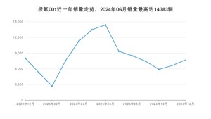 2024年12月极氪001销量多少？ 在哪个城市卖得最好？