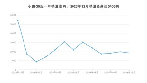 2024年12月小鹏汽车小鹏G9销量多少？ 在哪个城市卖得最好？