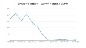 2024年12月福特EVOS销量多少？ 在哪个城市卖得最好？