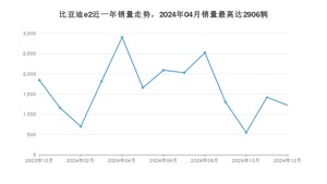 2024年12月比亚迪e2销量数据发布 共卖了1224台