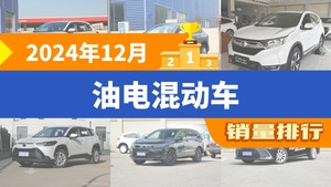 2024年12月油电混动车销量排行榜，RAV4荣放夺得冠军，第二名差距也太大了 