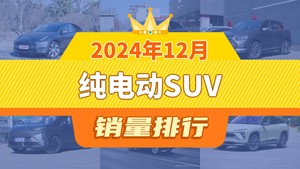 2024年12月纯电动SUV销量排行榜，Model Y夺得冠军，第二名差距也太大了 