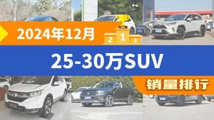 2024年12月25-30万SUV销量排行榜，Model Y夺得冠军，第二名差距也太大了 