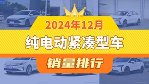2024年12月纯电动紧凑型车销量排行榜，秦PLUS夺得冠军，第二名差距也太大了 