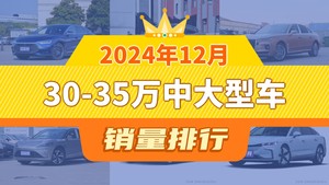 2024年12月30-35万中大型车销量排行榜，极氪001位居第二，第一名你绝对想不到