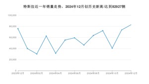 12月特斯拉销量怎么样? 众车网权威发布(2024年)
