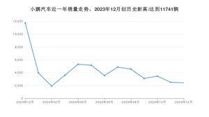 12月小鹏汽车销量怎么样? 众车网权威发布(2024年)