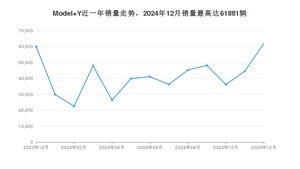2024年12月特斯拉Model Y销量怎么样？ 在中排名怎么样？
