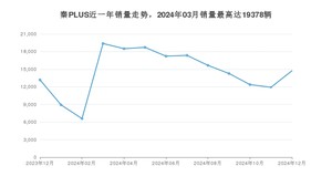 2024年12月比亚迪秦PLUS销量多少？ 在哪个城市卖得最好？