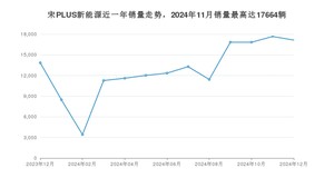 2024年12月比亚迪宋PLUS新能源销量多少？ 在哪个城市卖得最好？