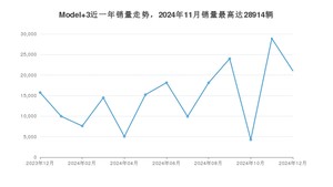 2024年12月特斯拉Model 3销量数据发布 共卖了21046台
