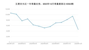 2024年12月五菱宏光销量多少？ 在自主车中排名怎么样？