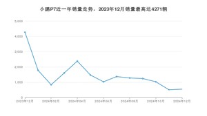 2024年12月小鹏汽车小鹏P7销量多少？ 在哪个城市卖得最好？