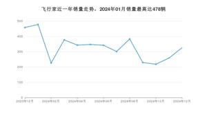 2024年12月林肯飞行家销量多少？ 在哪个城市卖得最好？