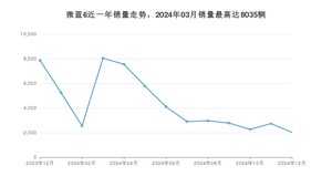 2024年12月别克微蓝6销量多少？ 在哪个城市卖得最好？