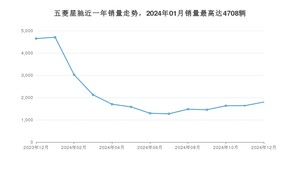 2024年12月五菱星驰销量多少？ 在哪个城市卖得最好？