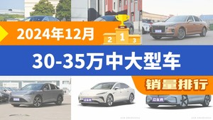 2024年12月30-35万中大型车销量排行榜，红旗H9屈居第三，ARCFOX αS成最大黑马