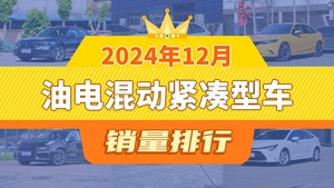 2024年12月油电混动紧凑型车销量排行榜，型格屈居第三，凌派成最大黑马