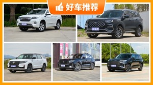 20万左右的中大型SUV排行榜，定价亲民，这几款不要错过