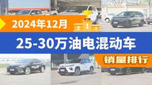 2024年12月25-30万油电混动车销量排行榜，RAV4荣放夺得冠军，第二名差距也太大了 