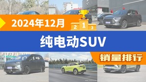 2024年12月纯电动SUV销量排行榜，宋PLUS新能源屈居第三，蔚来ES6成最大黑马