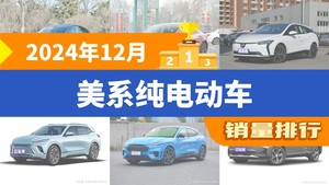 2024年12月美系纯电动车销量排行榜，Model 3位居第二，第一名你绝对想不到