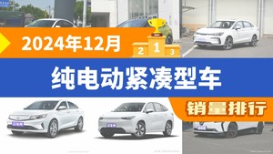 2024年12月纯电动紧凑型车销量排行榜，秦PLUS以14739辆夺冠，枫叶60s升至第4名 