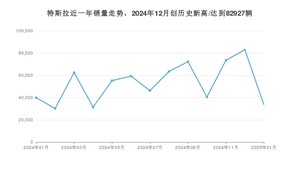 特斯拉 1月份销量怎么样? 众车网权威发布(2025年)