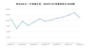 2025年1月奥迪Q5L销量多少？ 在哪个城市卖得最好？