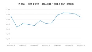 2025年1月大众迈腾销量数据发布 共卖了16247台