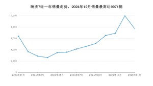 2025年1月奇瑞瑞虎7销量多少？ 在哪个城市卖得最好？