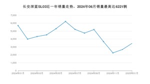 2025年1月长安深蓝SL03销量多少？ 在哪个城市卖得最好？