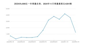 2025年1月极氪ZEEKR 009销量多少？ 在哪个城市卖得最好？