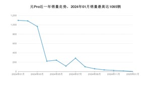 2025年1月比亚迪元Pro销量多少？ 在哪个城市卖得最好？