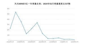 2025年1月东风风光风光MINIEV销量数据发布 共卖了14台