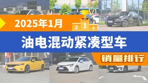 2025年1月油电混动紧凑型车销量排行榜，领克03屈居第三，雷凌成最大黑马