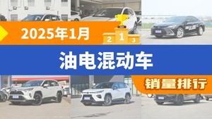 2025年1月油电混动车销量排行榜，锋兰达以17242辆夺冠