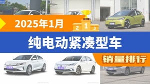 2025年1月纯电动紧凑型车销量排行榜，秦PLUS夺得冠军，第二名差距也太大了 