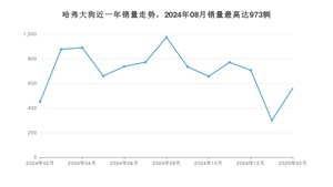 2025年2月哈弗大狗销量多少？ 在哪个城市卖得最好？