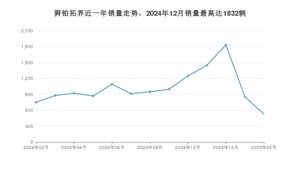 2025年2月起亚狮铂拓界销量多少？ 在哪个城市卖得最好？