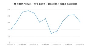 2025年2月魏牌摩卡DHT-PHEV销量数据发布 共卖了157台