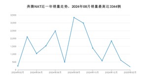 2025年2月奔腾NAT销量数据发布 共卖了190台