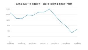 2025年5月五菱星驰销量数据发布 共卖了709台