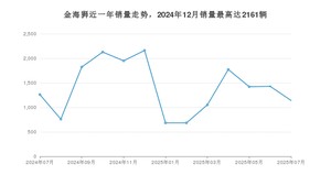 2025年7月SRM鑫源金海狮销量多少？ 在哪个城市卖得最好？