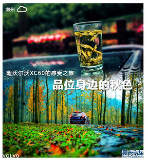 品味身边的秋色 沃尔沃XC60的感受之旅