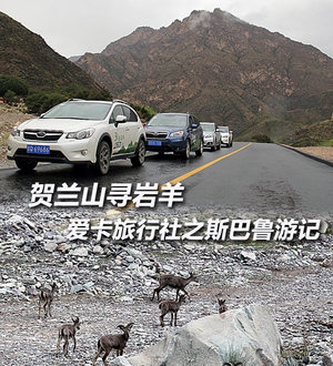 贺兰山寻岩羊 爱卡旅行社之斯巴鲁游记