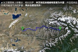 探秘古老民族 爱卡旅行社林芝-拉萨游记