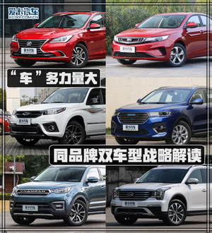 “车”多力量大 同品牌双车型战略解读